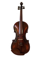 Violina 4 prednja strana